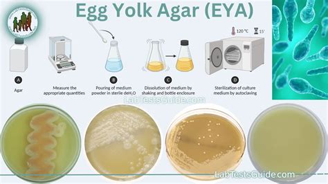 Clear Procedures Produce Superior Results, Yolkk Process.